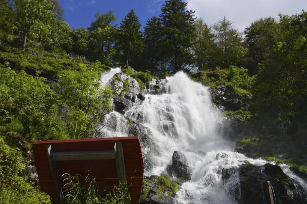 Waldloft Titisee Kültér fotó